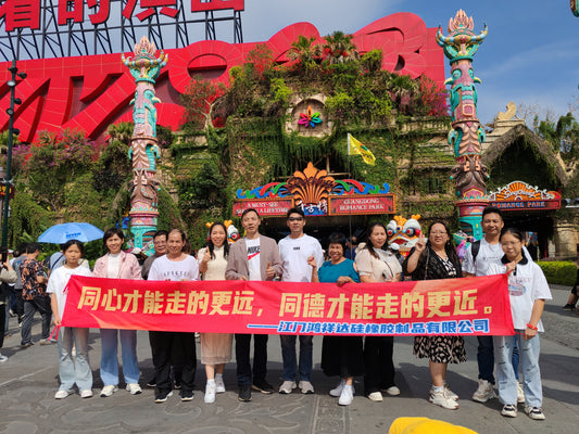 Jiangmen Hongxiangda Company's 2024 Team Building Event Concludes Successfully